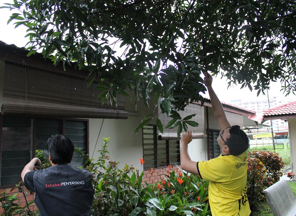 Gardening
